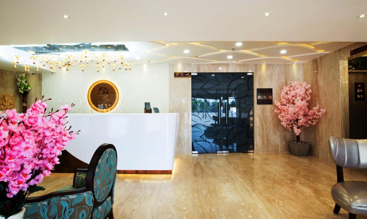 Olive Tree Hotel วิเจยาวารา ภายนอก รูปภาพ